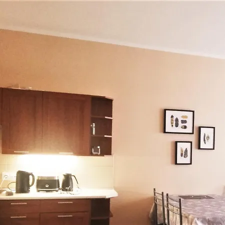 Platan Patio 5- Berry 슈비노우이스쳬